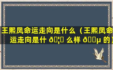 王熙凤命运走向是什么（王熙凤命运走向是什 🦊 么样 🐵 的）